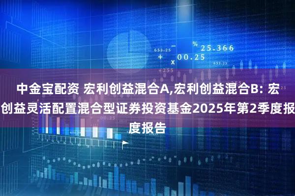 中金宝配资 宏利创益混合A,宏利创益混合B: 宏利创益灵活配置混合型证券投资基金2025年第2季度报告